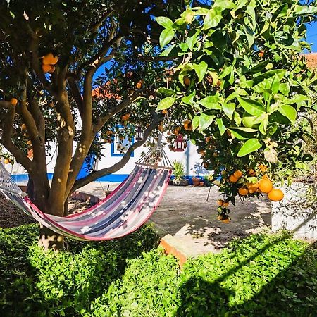 Cozy 3 Bedroom Home - Close To Beach Lourinhã Exterior foto